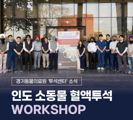 인도 소동물 혈액투석 워크숍에 다녀왔습니다…