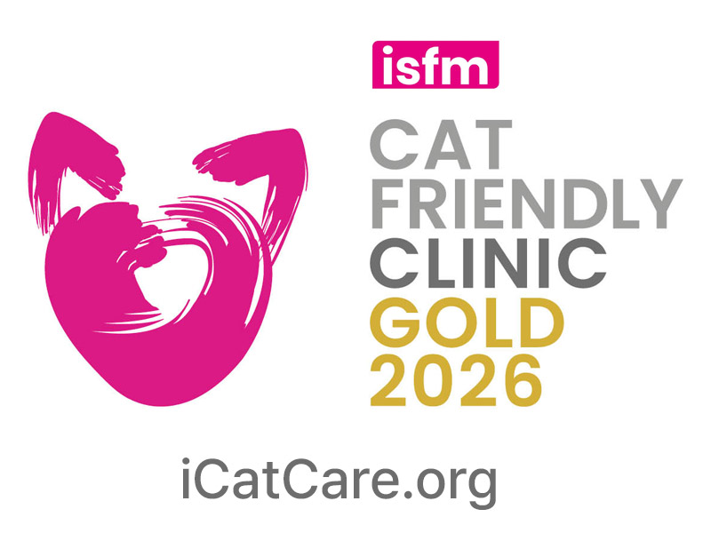 골드레벨 인증서