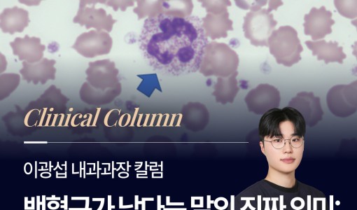 백혈구가 낮다는 말의 진짜 의미:…